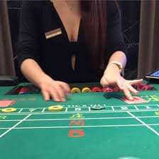 AV66 Live Casino ဒီလာနှင့် Roulette ကစားနေသောမြင်ကွင်း